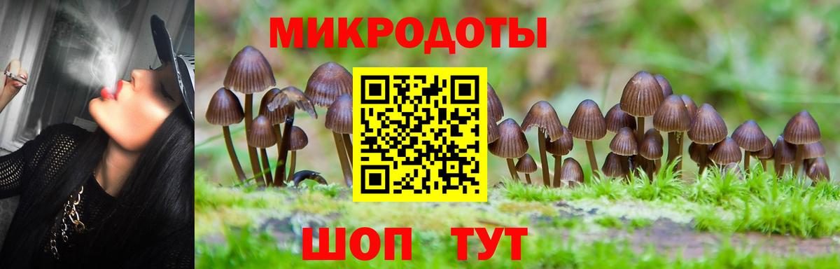 Псилоцибиновые грибы GOLDEN TEACHER Ипатово